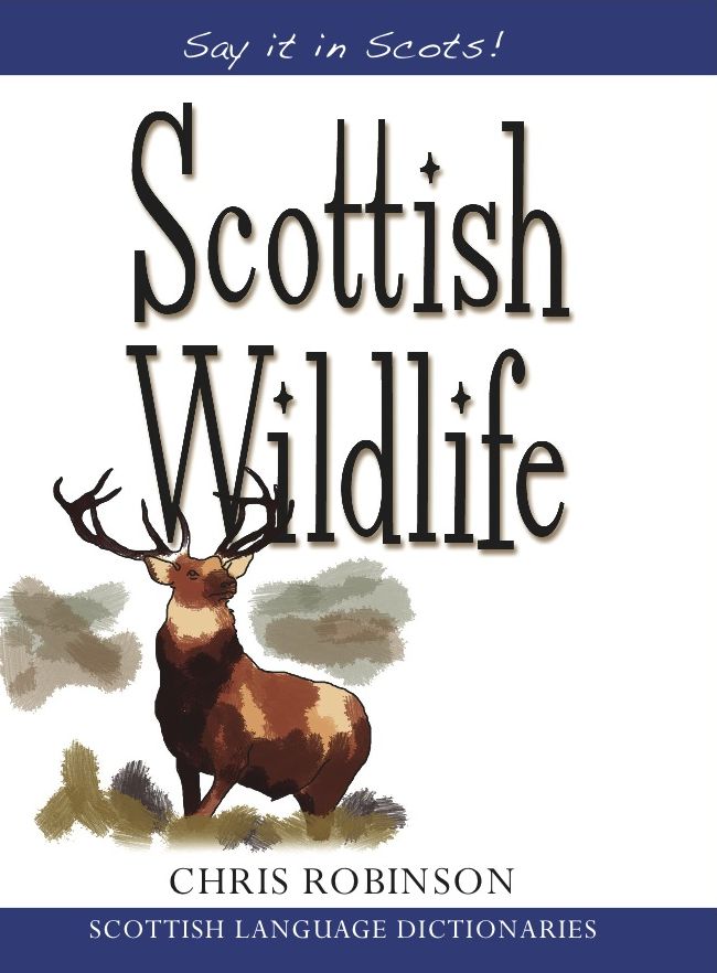 Scottish Wildlife