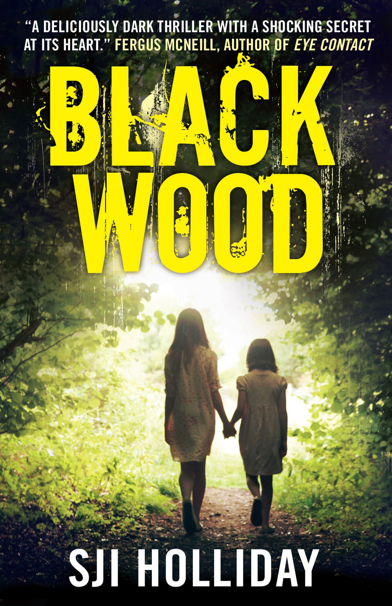 Black Wood: A deliciously dark thriller with a shocking secret at its heart