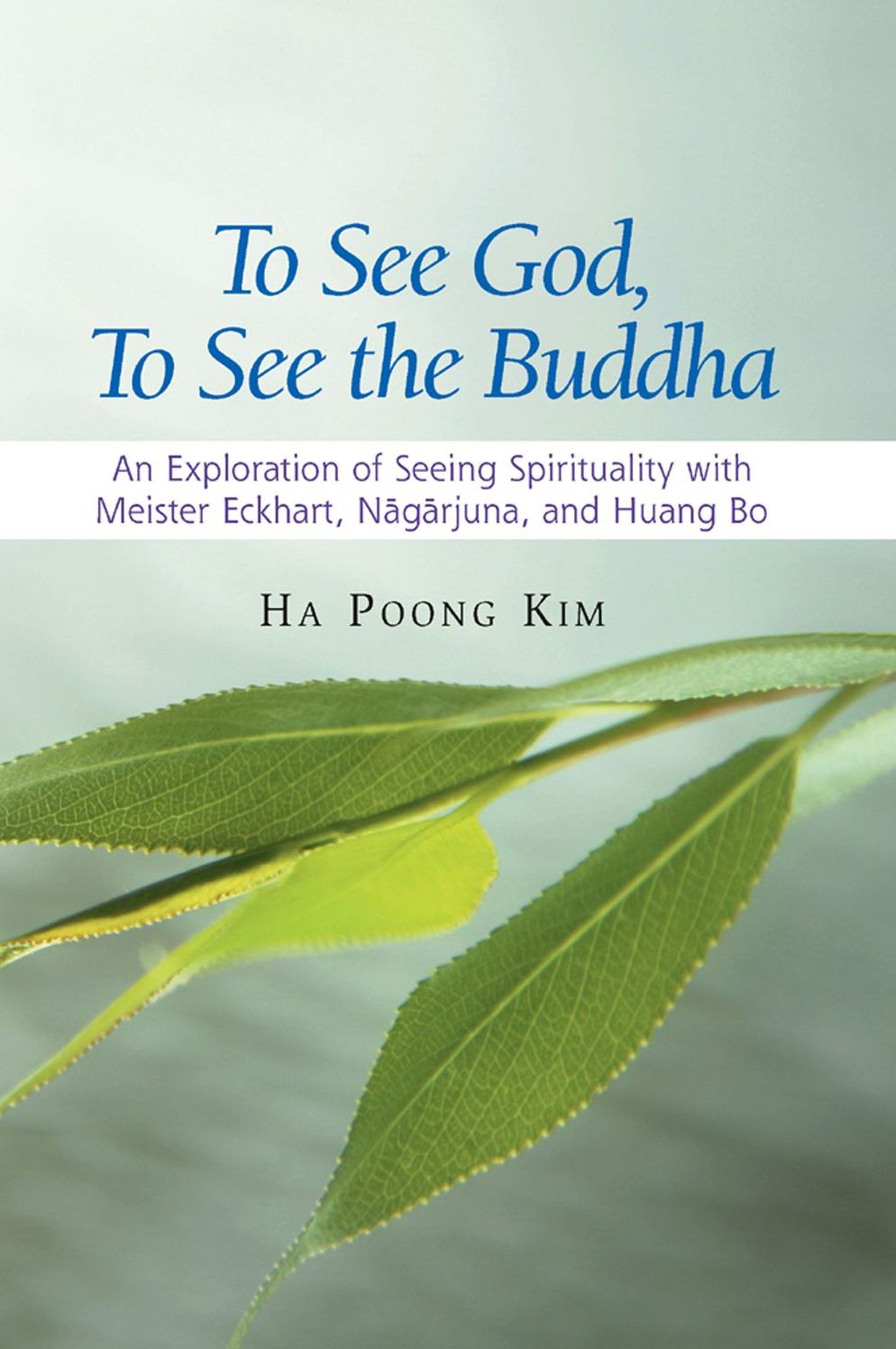 To See God, To See the Buddha: An Exploration of Seeing Spirituality with Meister Eckhart, Nagarjuna, and Huang Bo