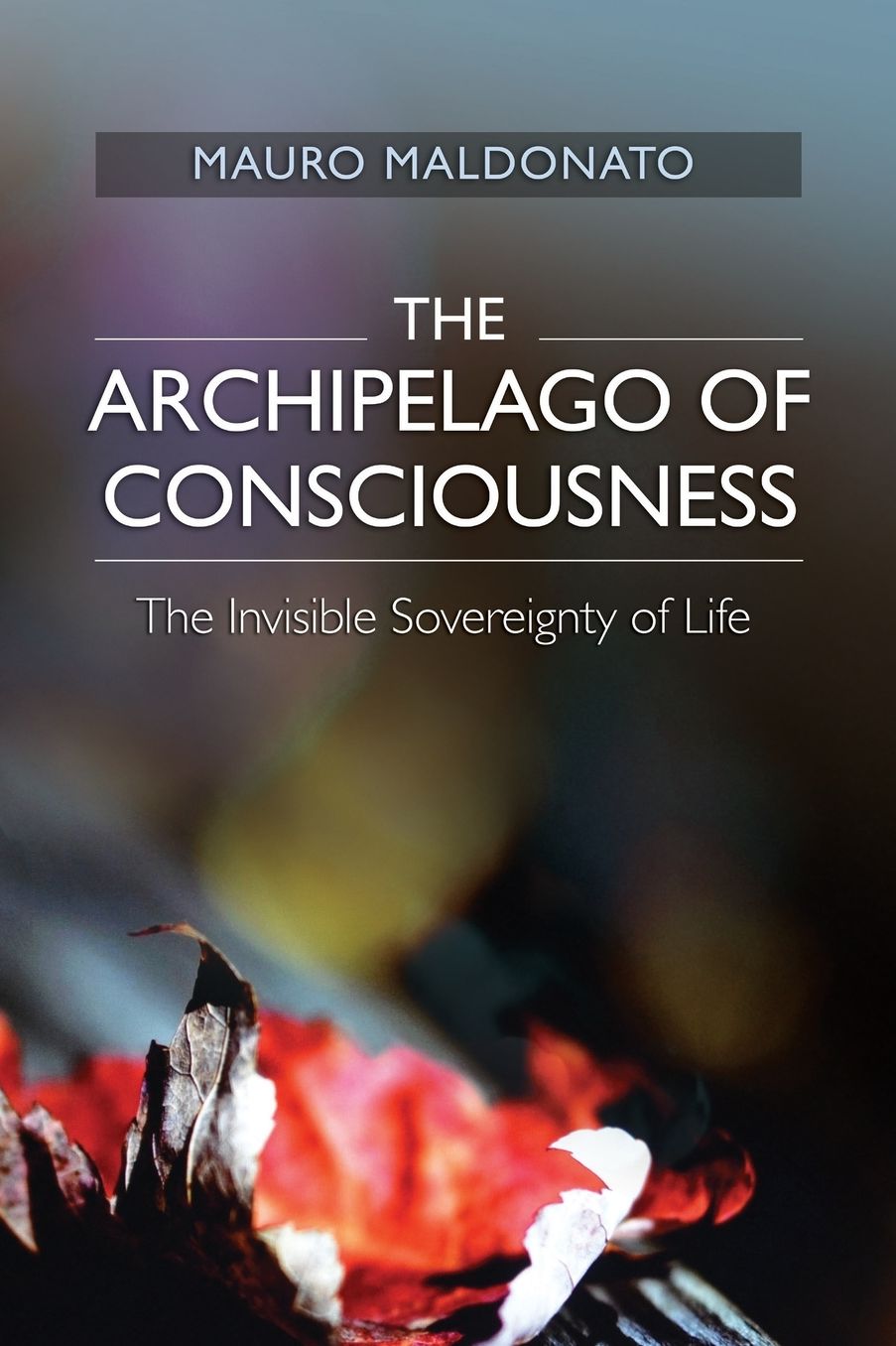 Archipelago of Consciousness: The Invisible Sovereignty of Life