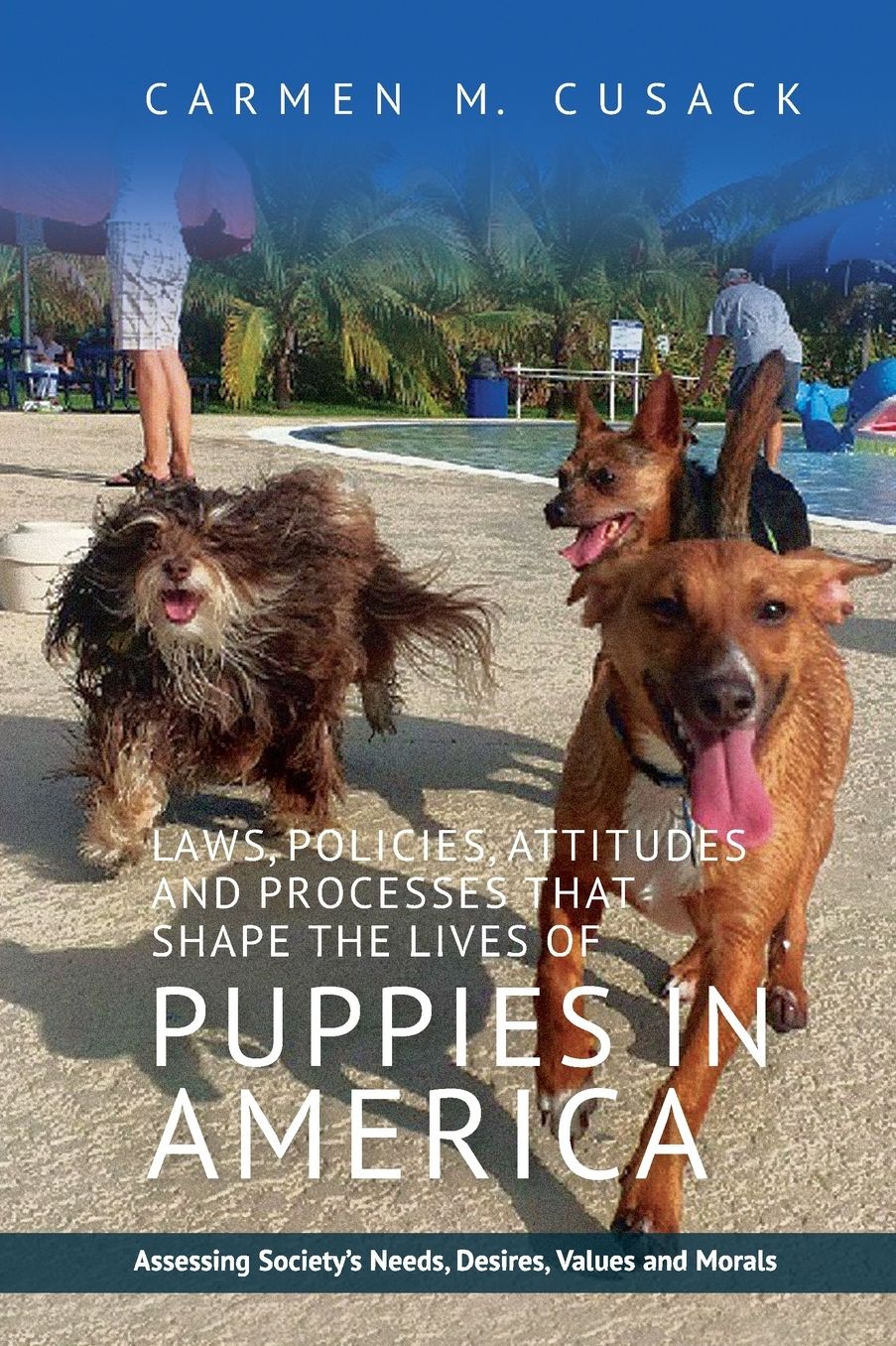 Laws, Policies, Attitudes and Processes That Shape the Lives of Puppies in America: Assessing Society's Needs, Desires, Values and Morals