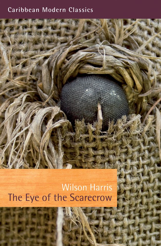The Eye of the Scarecrow