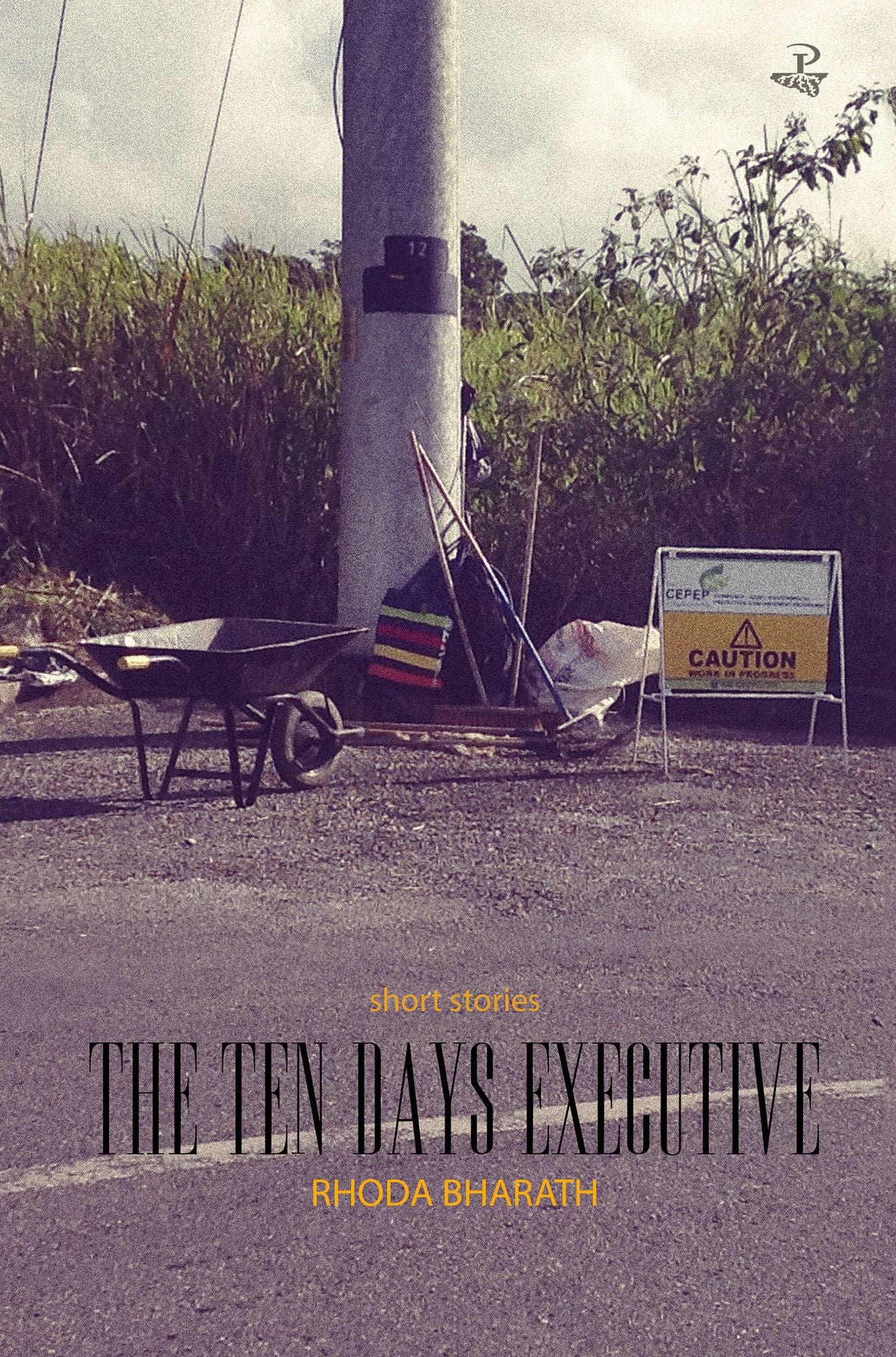 The Ten Days Executive: Short Stories