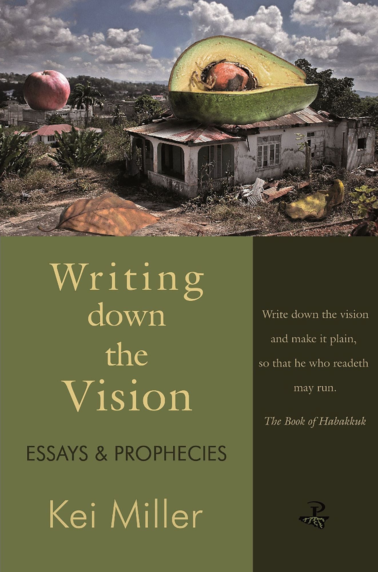 Writing Down the Vision: Essays & Prophecies