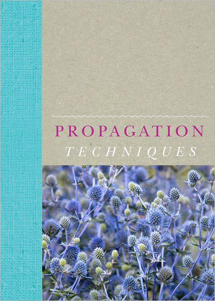 Propagation Techniques