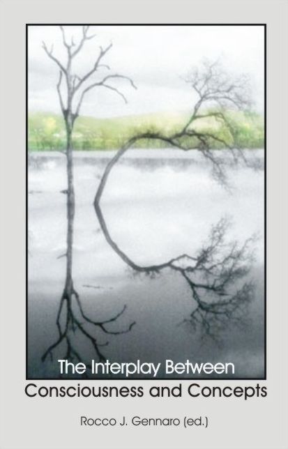 The Interplay of Consciousness and Concepts