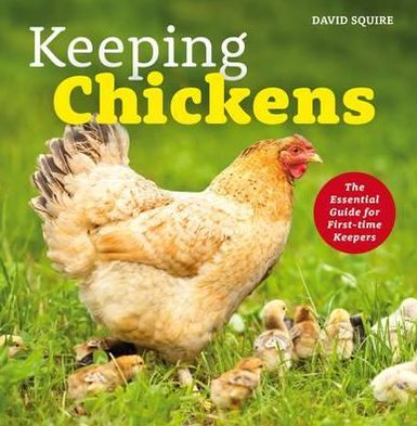Keeping Chickens: The Essential Guide for First-Time Keepers