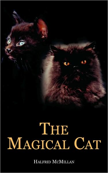 The Magical Cat
