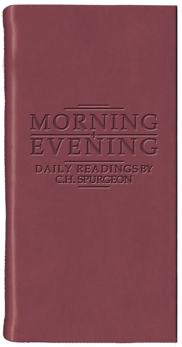 Morning and Evening (Matt Burgundy)