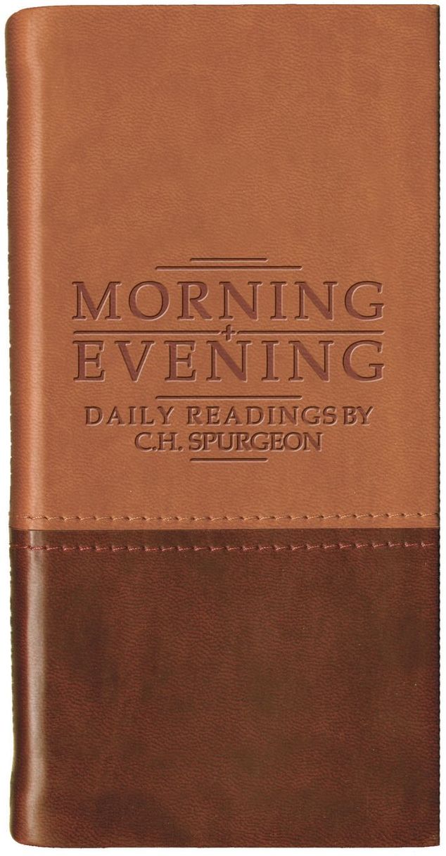 Morning and Evening (Matt Tan/ Burgundy)