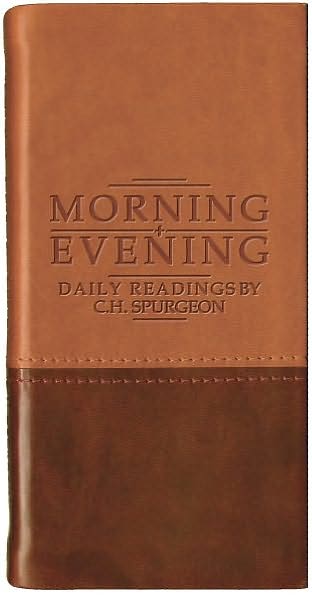 Morning and Evening (Matt Tan/ Burgundy)