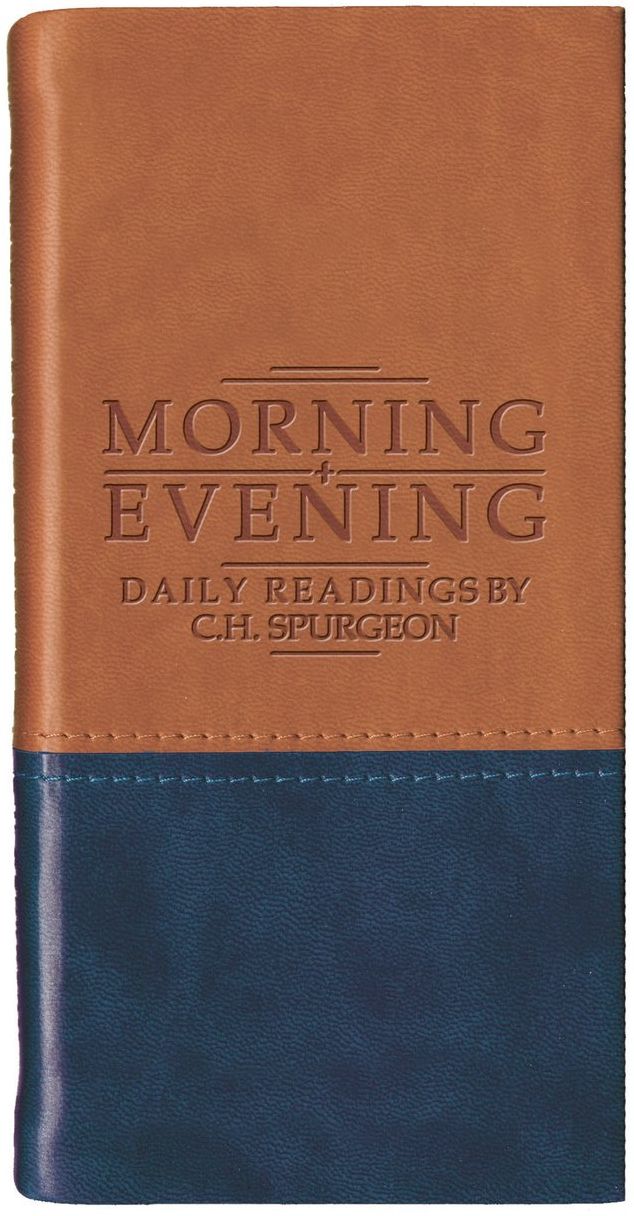 Morning and Evening - Matt Tan/Blue