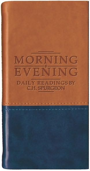 Morning and Evening - Matt Tan/Blue