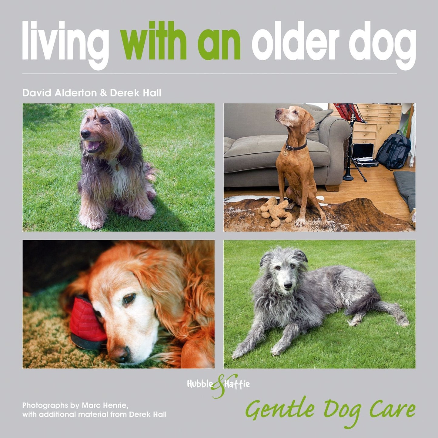 Living With an Older Dog
