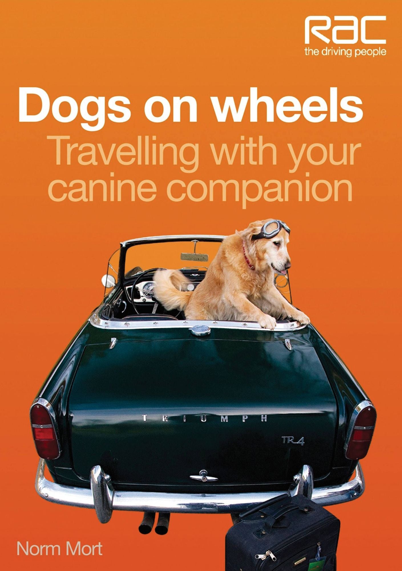 Dogs on Wheels: Travelling With Your Canine Companion