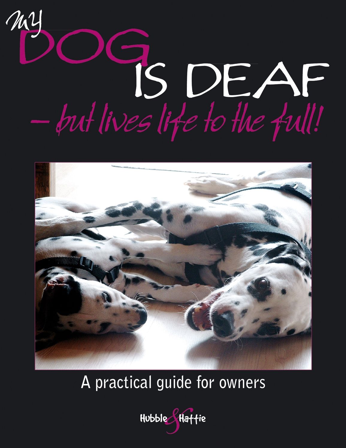 My Dog Is Deaf: But Lives Life to the Full