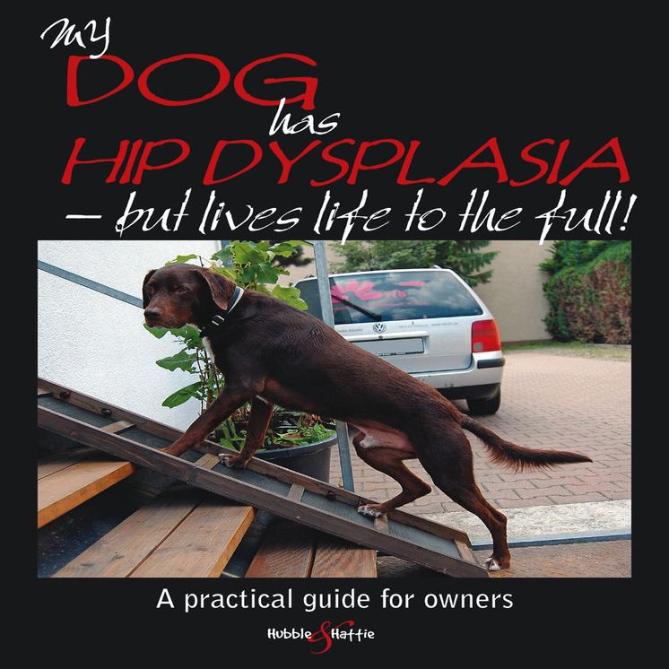My Dog Has Hip Dysplasia: What You Need to Know & How You Can Help