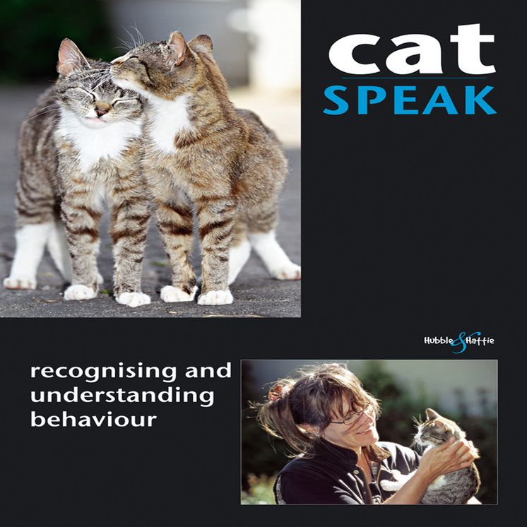 Cat Speak: Recognising and Understanding Behaviour