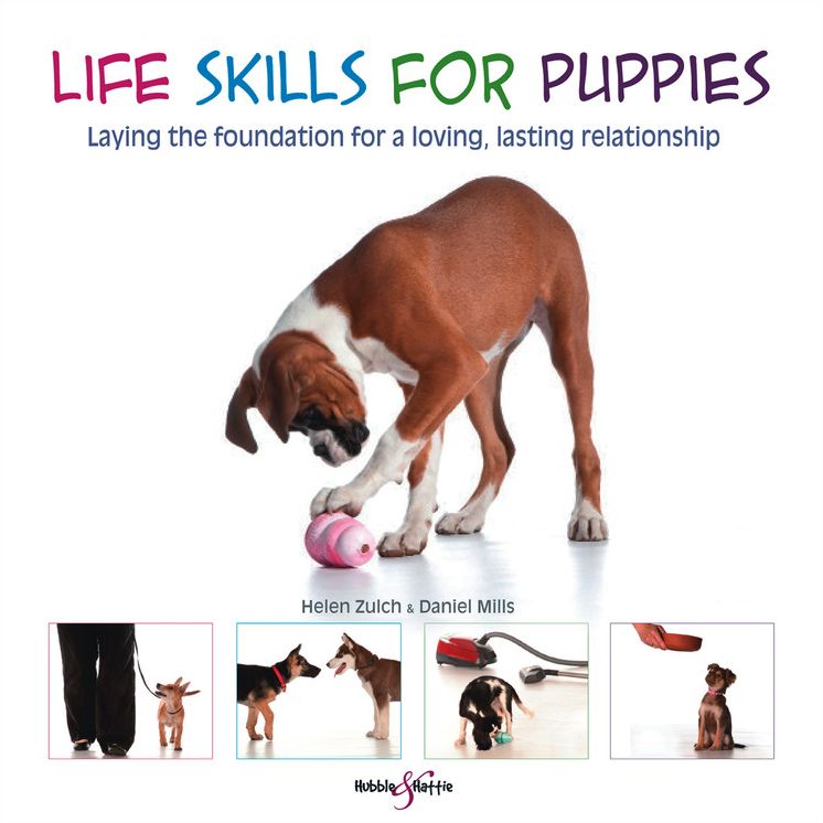 Life Skills for Puppies: Laying the Foundation for a Loving, Lasting Relationship