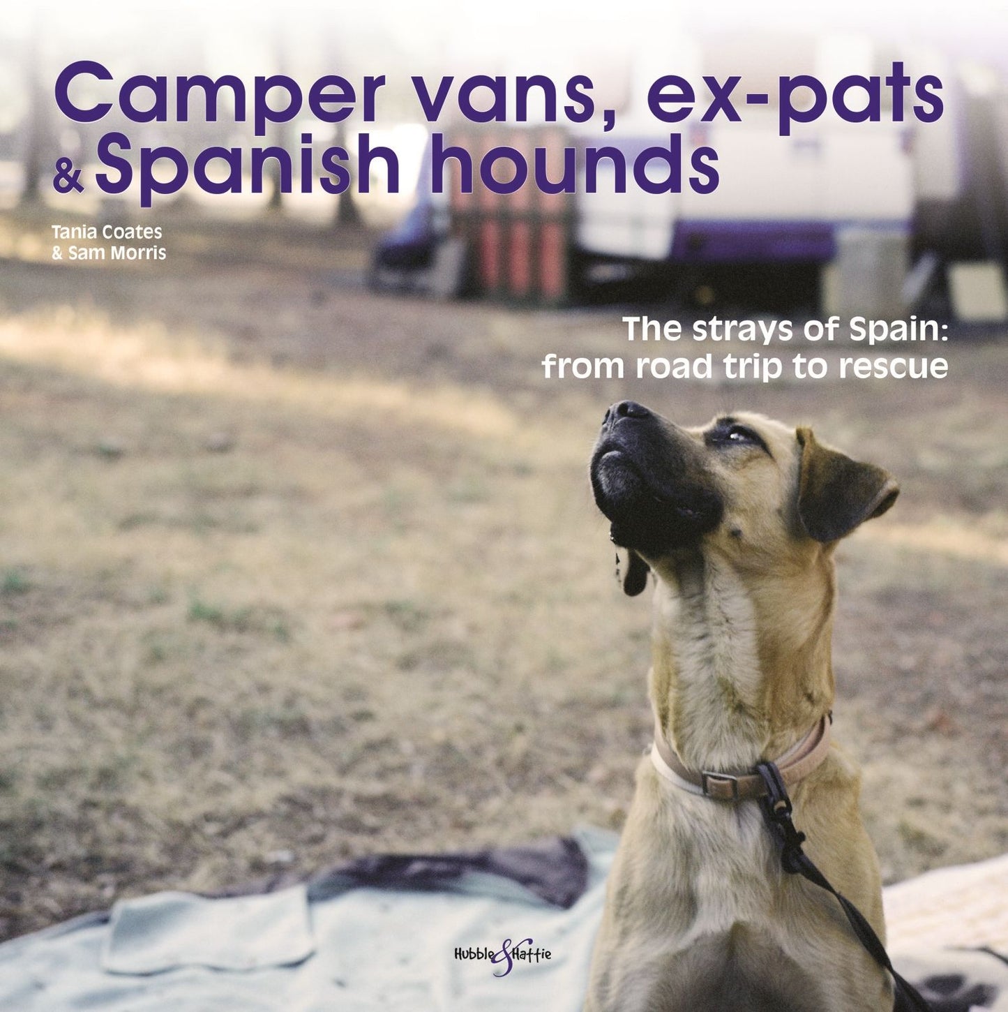 Camper vans, ex-pats and Spanish hounds: The strays of Spain: from road trip to rescue