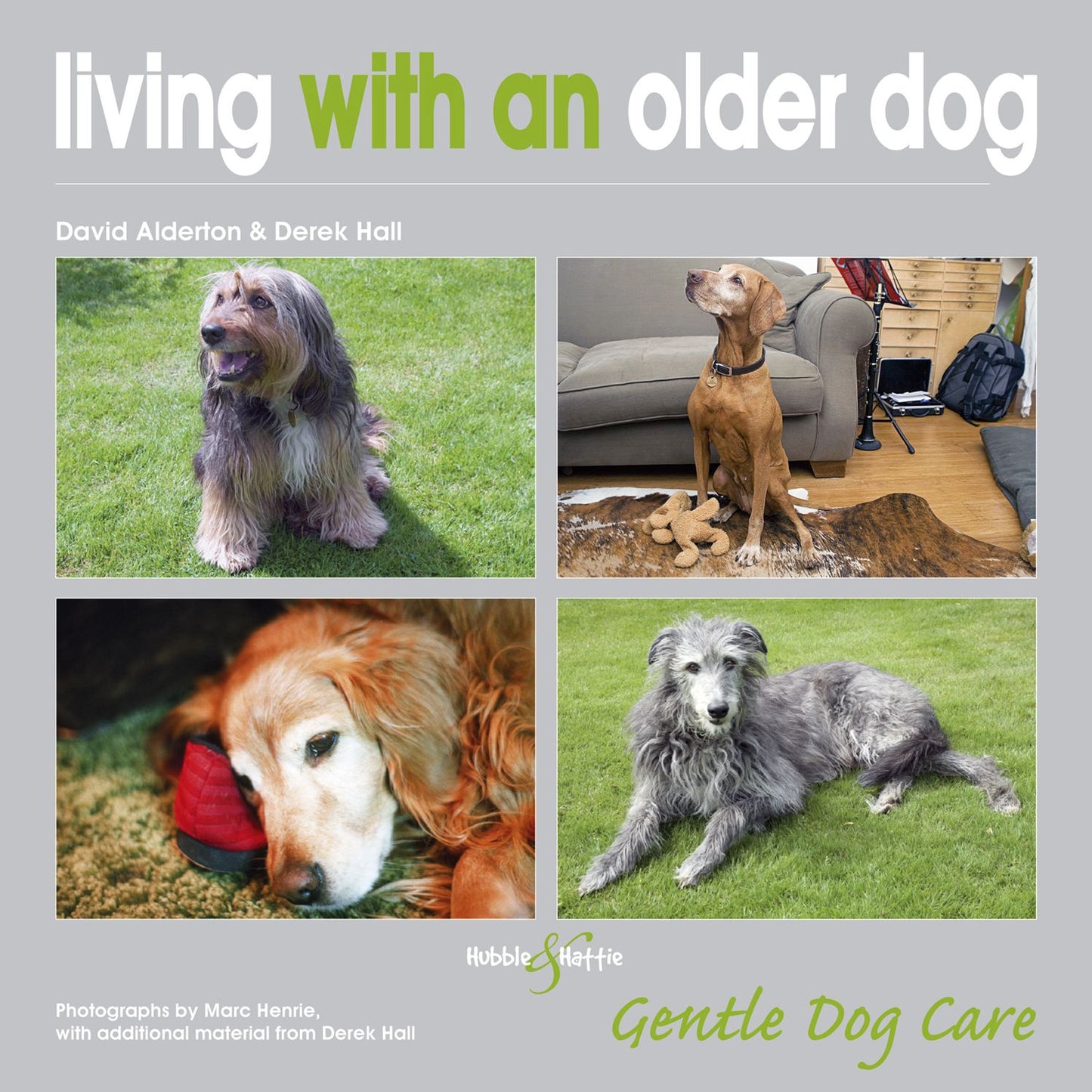 Living with an Older Dog: Gentle Dog Care
