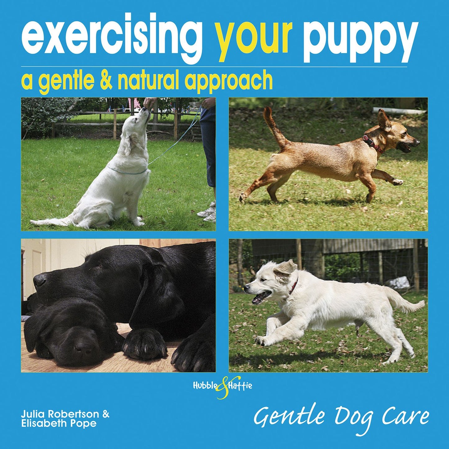Exercising your puppy: a gentle & natural approach: Gentle Dog care