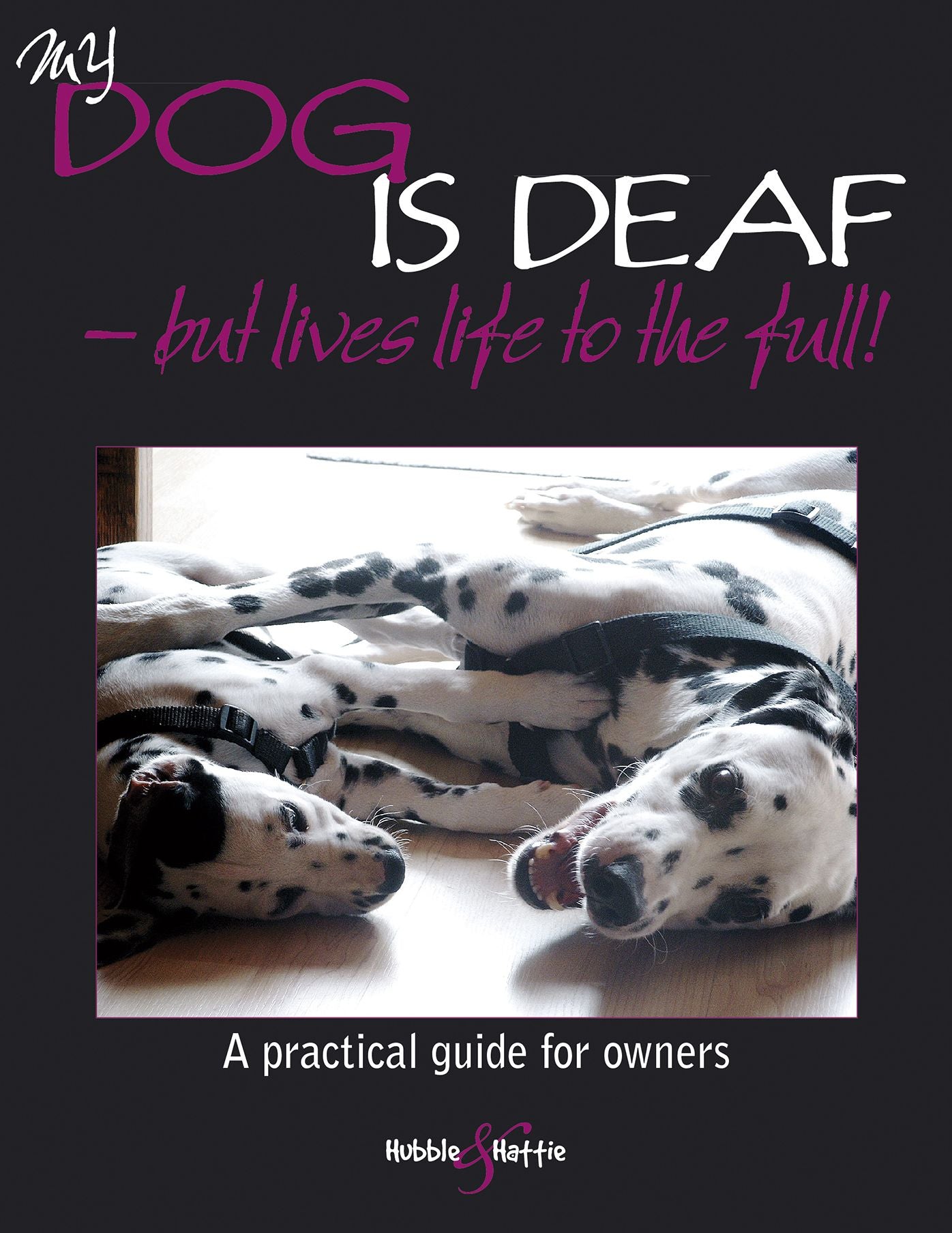 My dog is deaf: