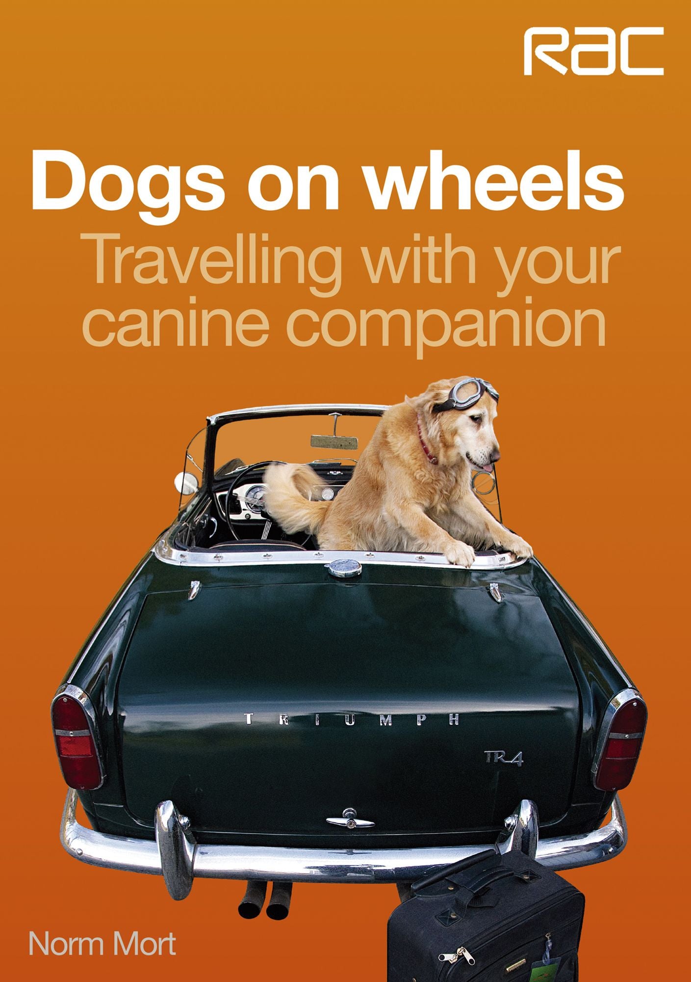 Dogs on wheels: Travelling with your canine companion