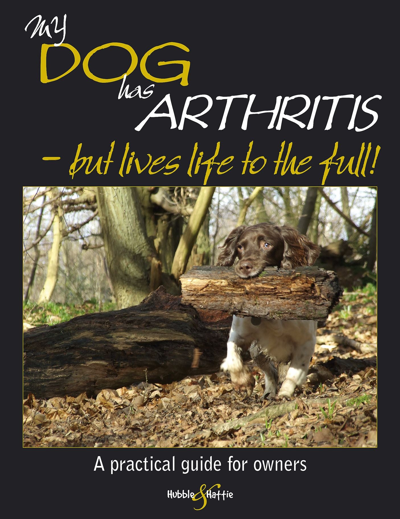 My dog has arthritis: ... but lives life to the full!