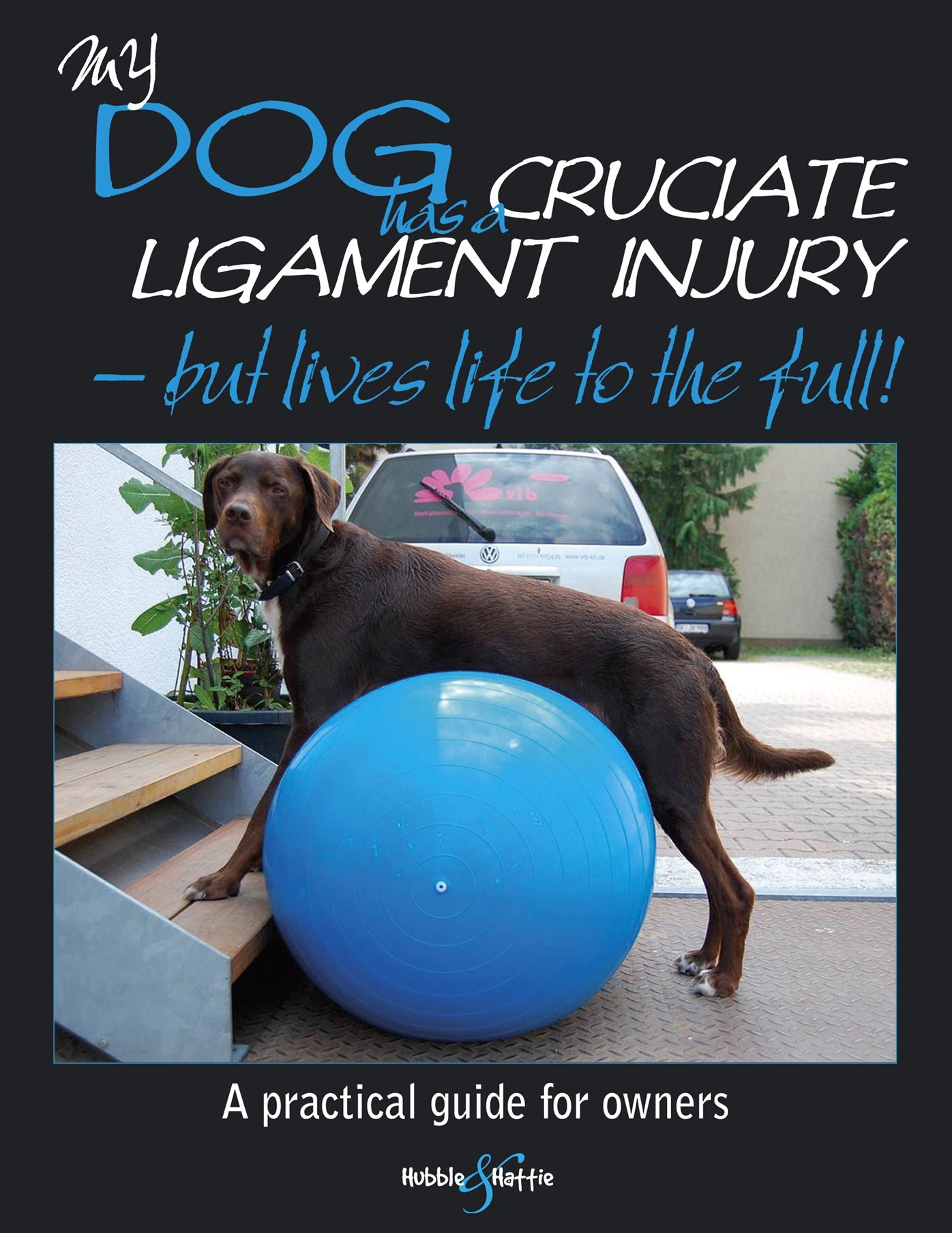 My dog has cruciate ligament injury