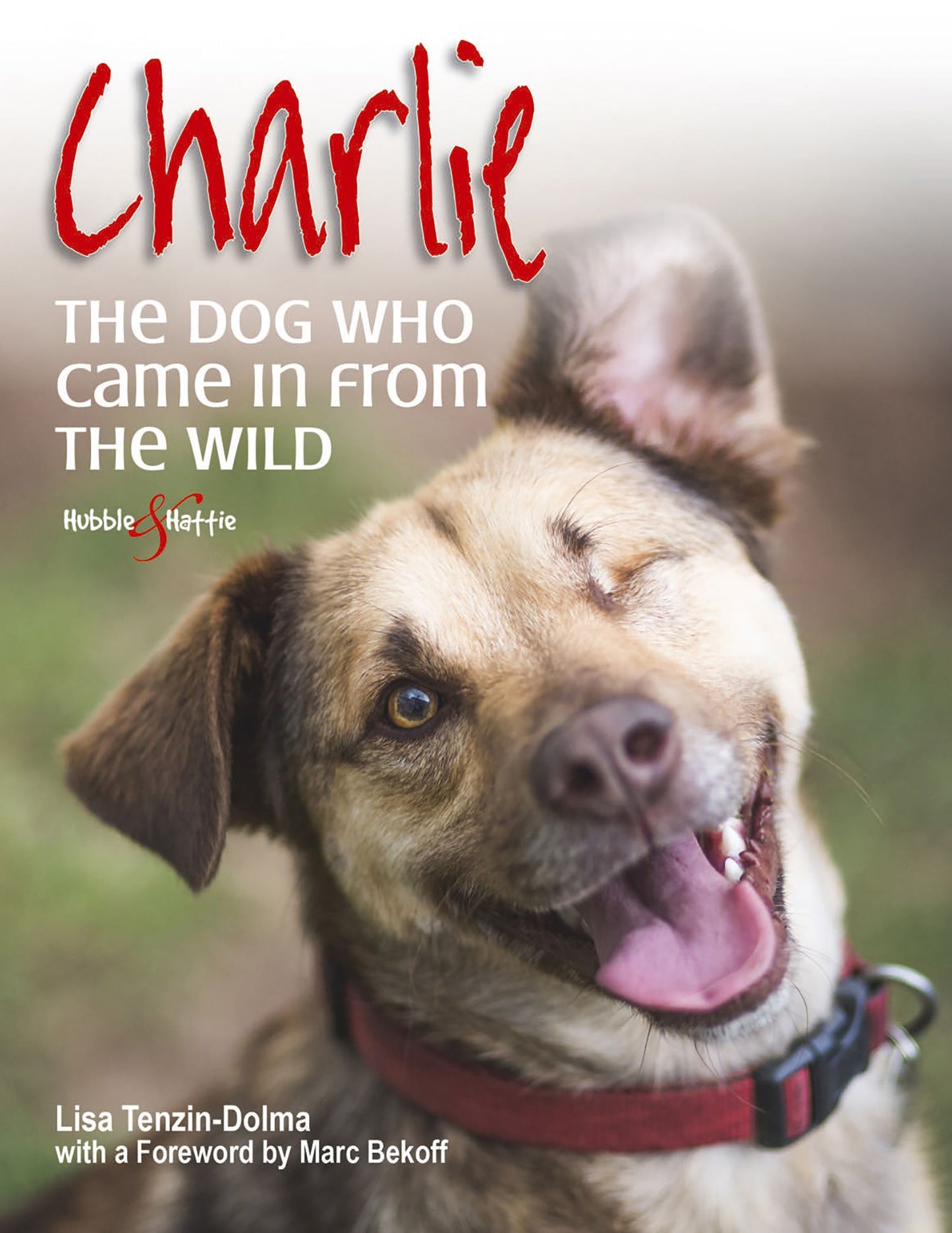 Charlie: The dog who came in from the wild