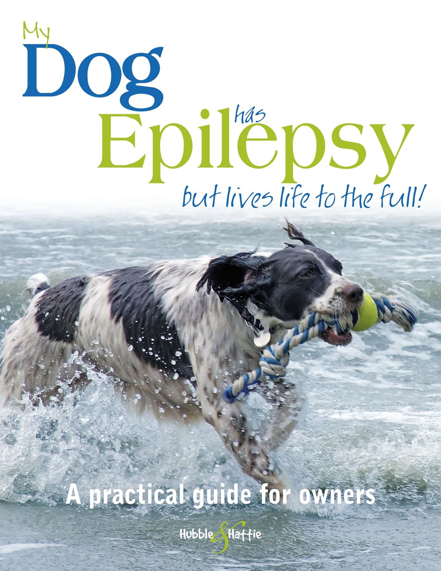 My dog has epilepsy ...: ... but lives life to the full!