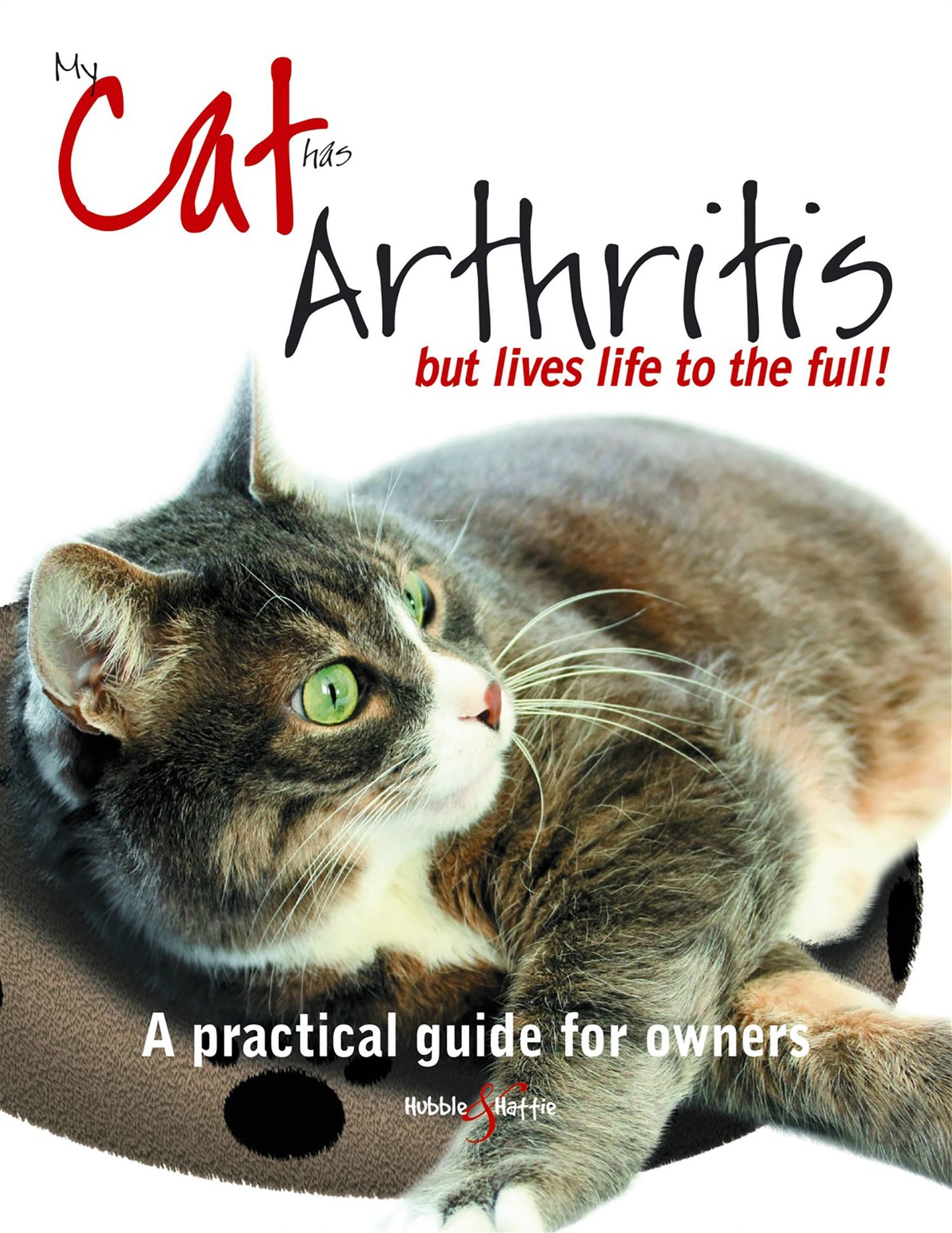 My cat has arthritis ...: ... but lives life to the full!