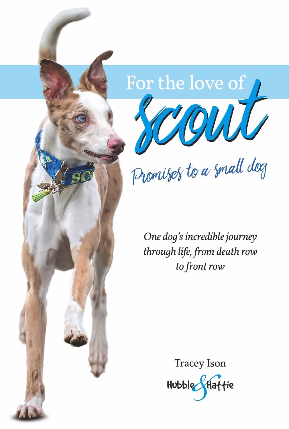 For the Love of Scout: Promises to a small dog