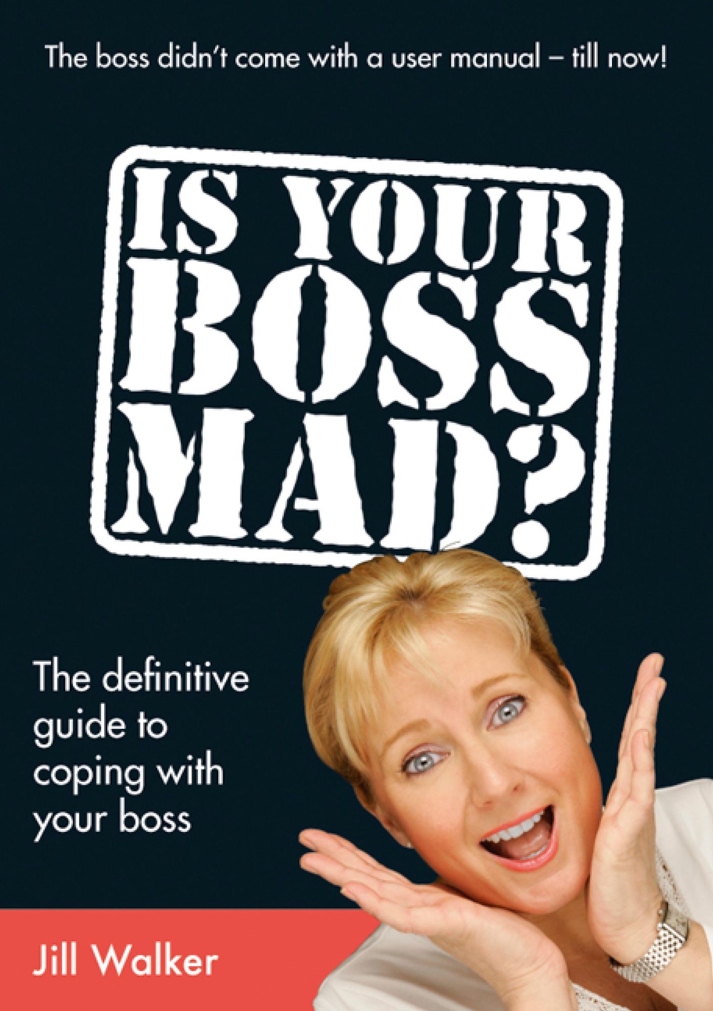 Is Your Boss Mad?: The definitive guide to coping with your boss