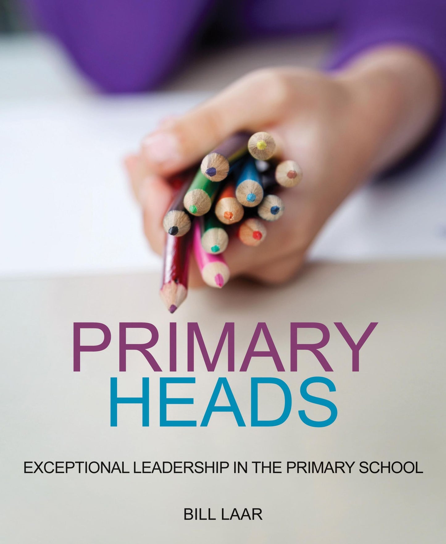 Primary Heads: Exceptional Leadership in the Primary School