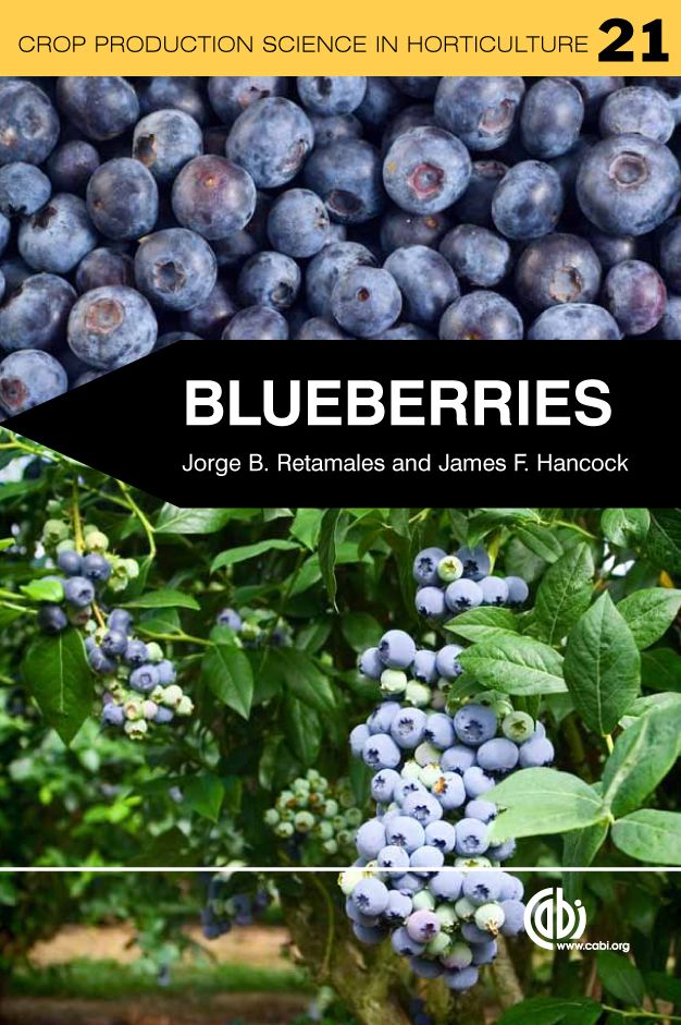 Blueberries