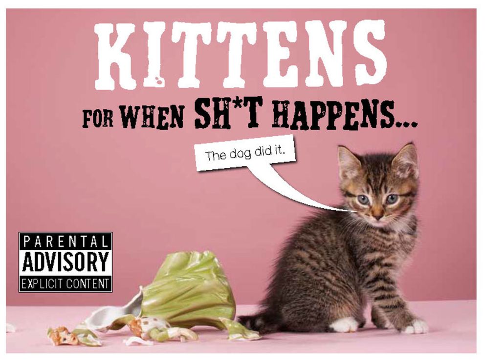 Kittens For When Sh*t Happens