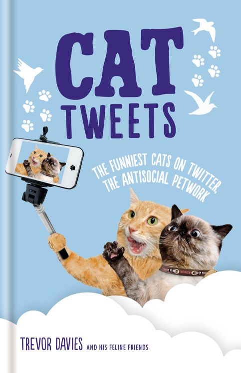 Cat Tweets