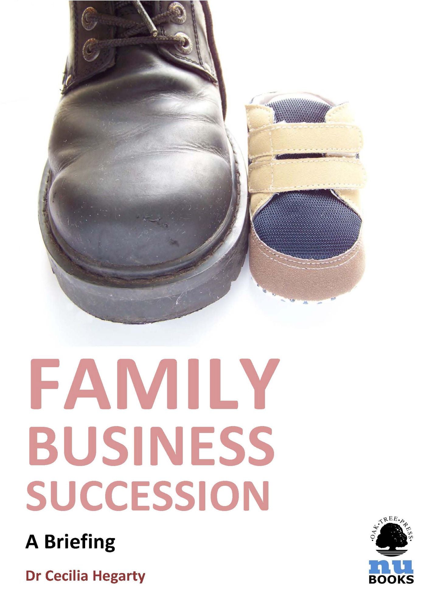 Family Business Succession: A Briefing