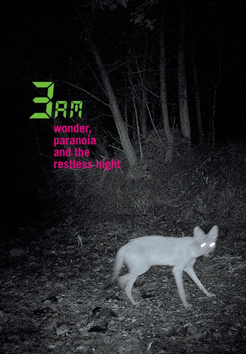 3am: Wonder, Paranoia and the Restless Night