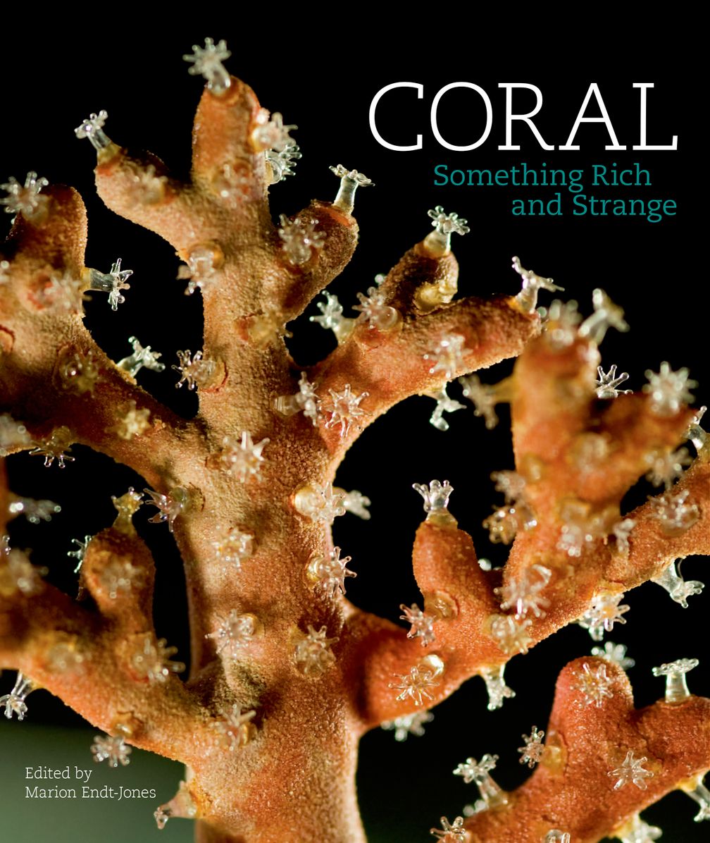 Coral: Something Rich and Strange