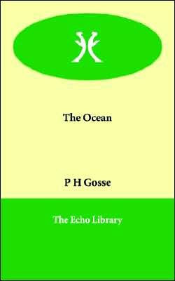 The Ocean