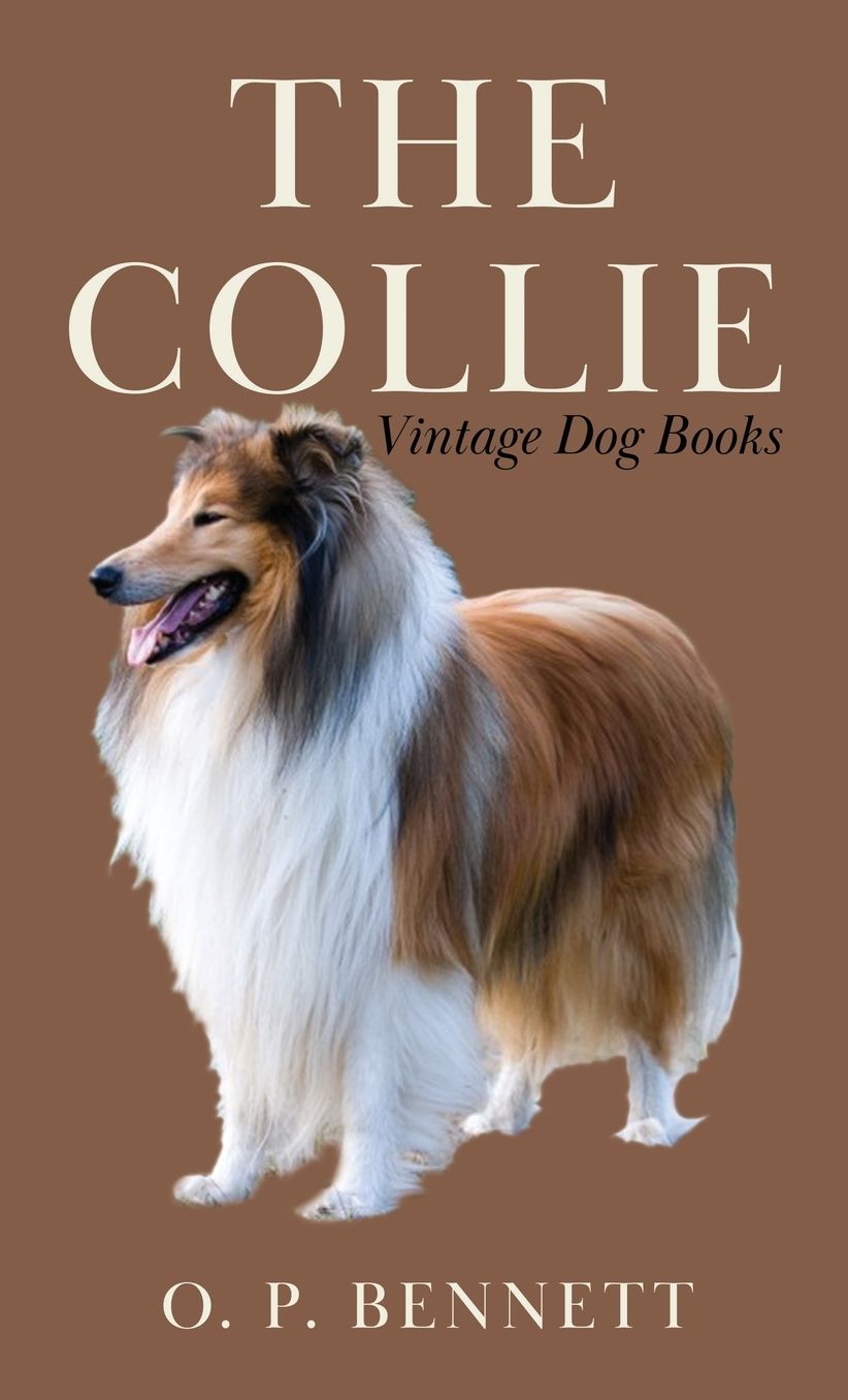 Collie