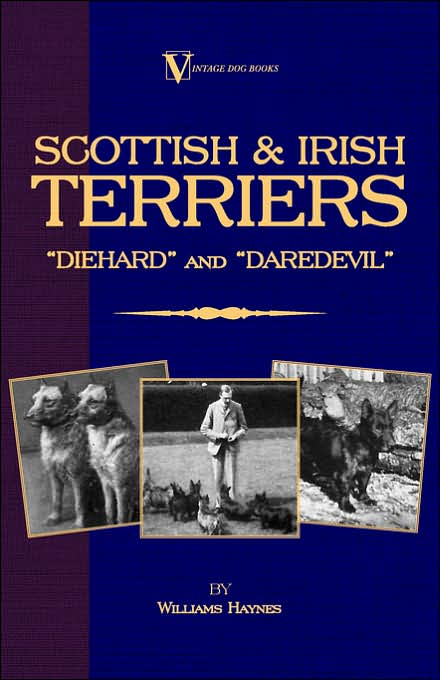 Scottish Terriers and Irish Terriers -