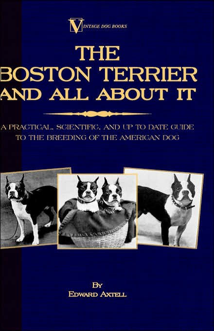 Boston Terrier and All about It - A