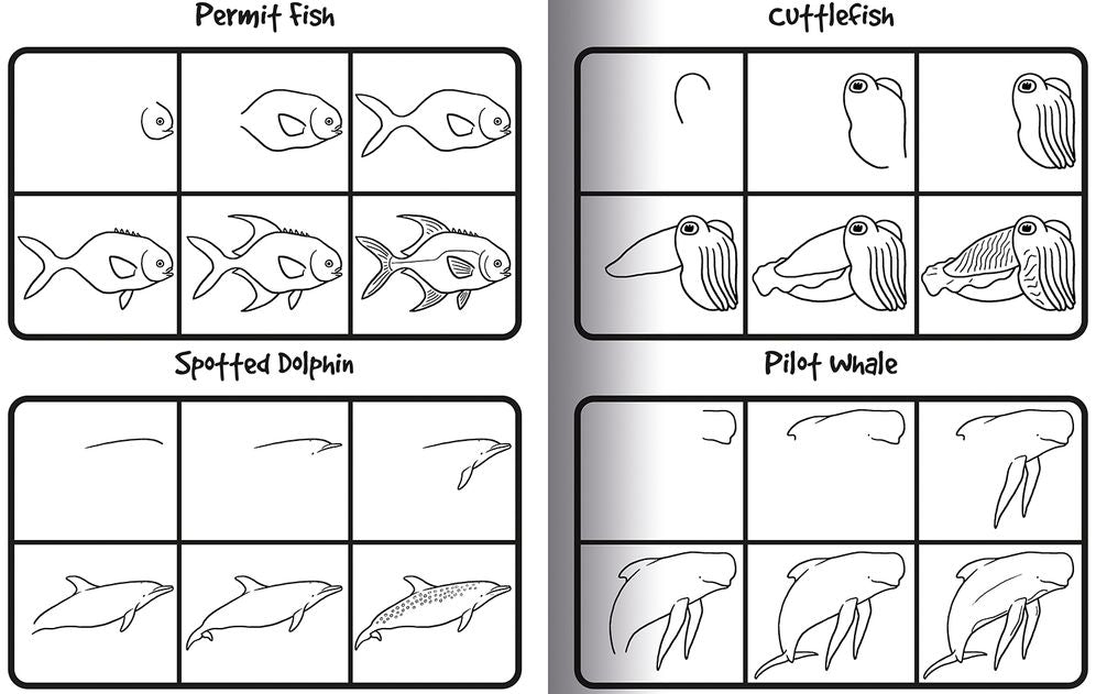 How to Draw 101 Dolphins & Other Sea Animals