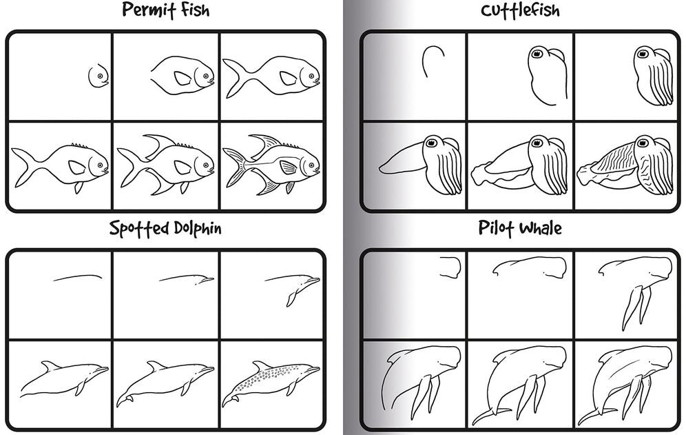 How to Draw 101 Dolphins & Other Sea Animals