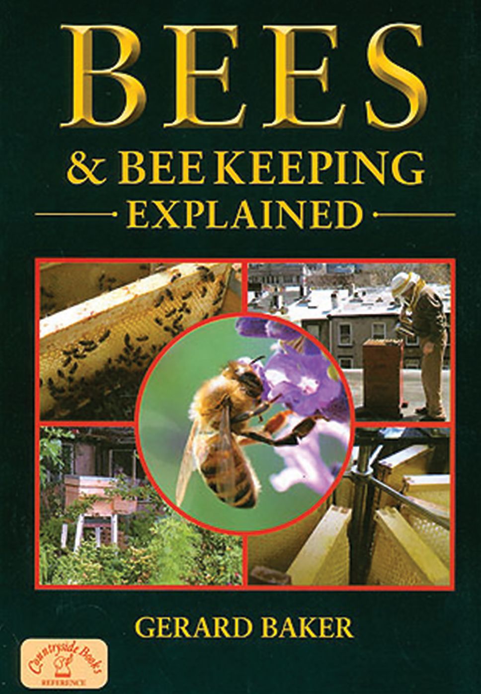 Bees and Beekeeping Explained