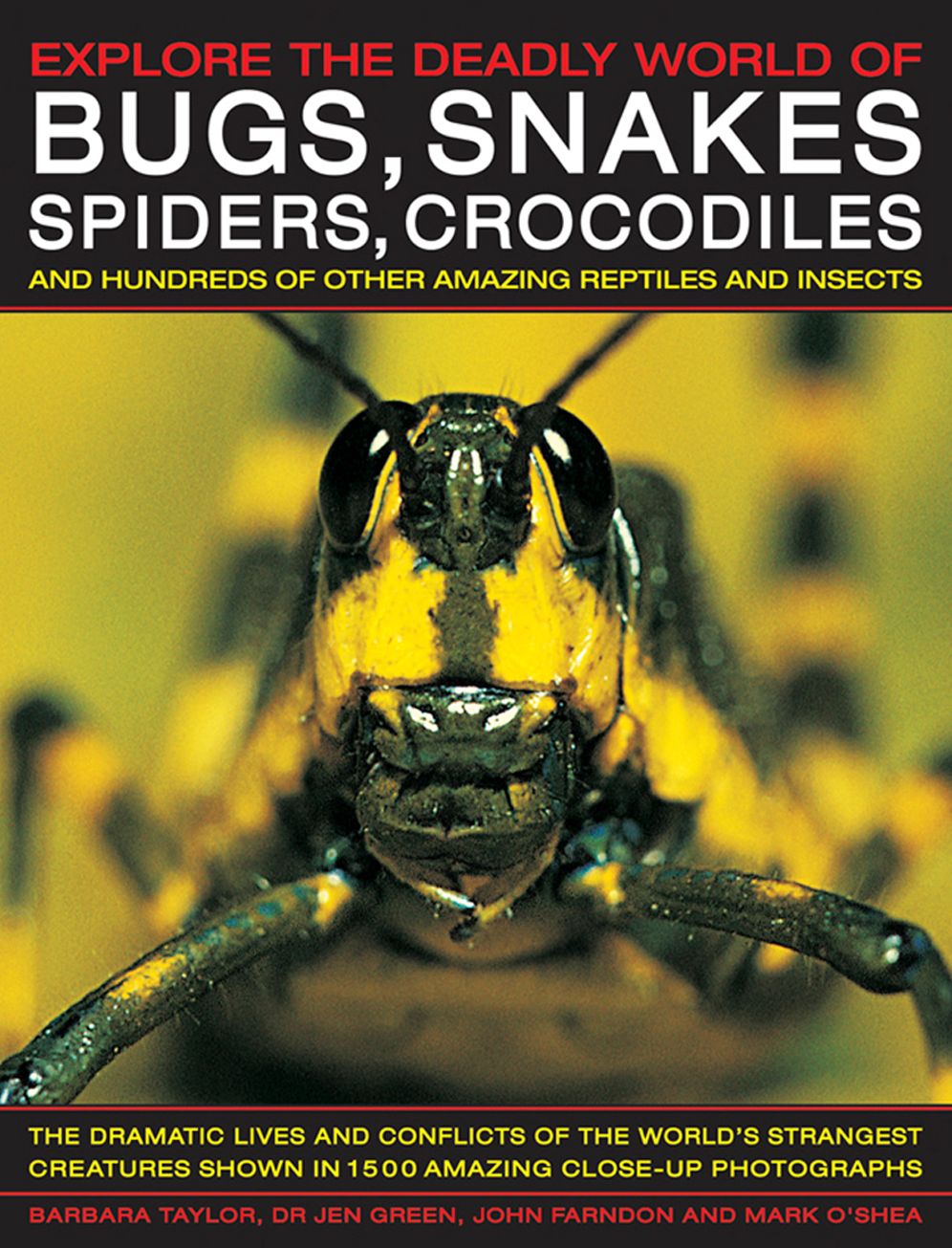Explore the Deadly World of Bugs, Snakes, Spiders & Crocodiles: The Dramatic Lives And Conflicts Of The World'S Strangest Creatures Shown In 1500 Amazing Close-Up Photographs